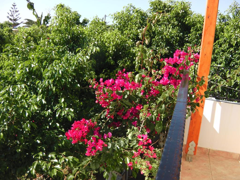 Serenity Hideaway Palaiochora Pokoj fotografie
